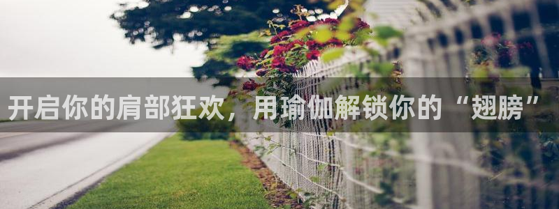 买欧洲杯的竞猜在那个app