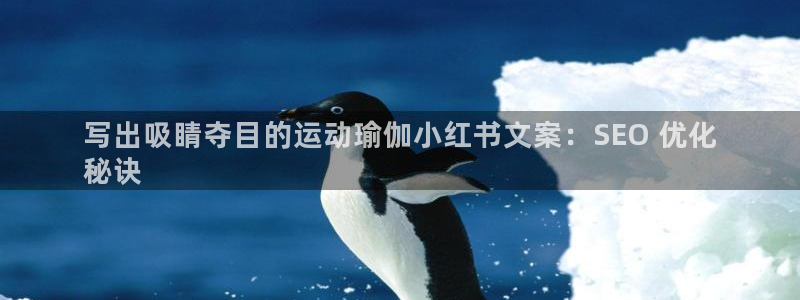 欧洲杯押注怎么买