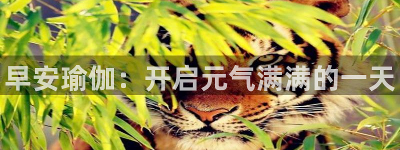 欧洲杯最新赛程