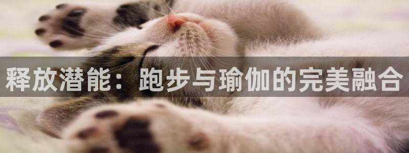 欧洲杯押注入口