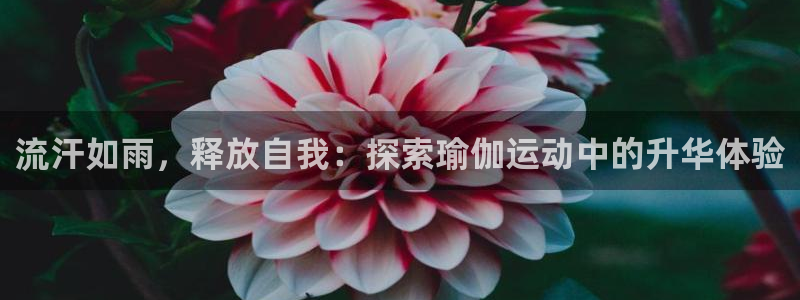 欧洲杯下单平台