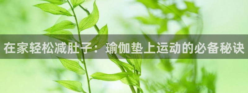 欧洲杯押注怎么买